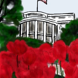 whitehouse flowers flag building lawn wdpthewhitehouse