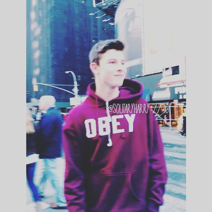 shawn mendes obey hoodie